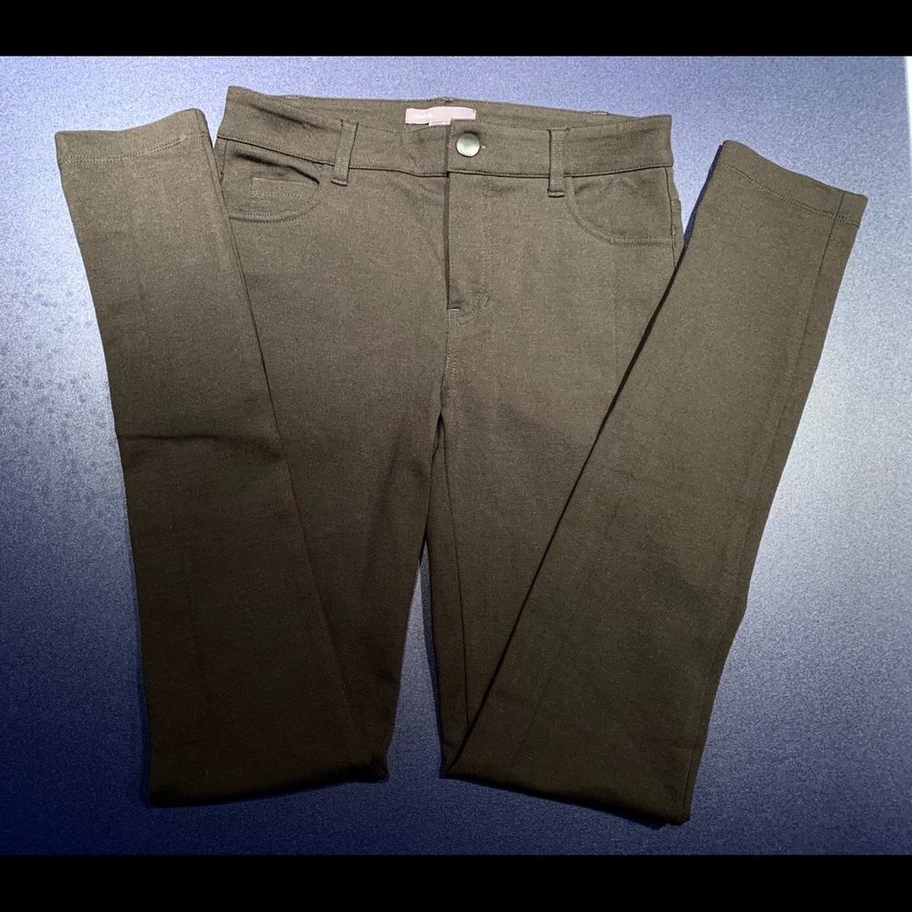 Vince Pant
